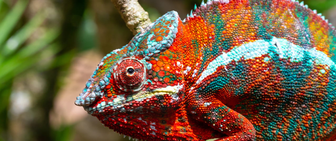 デジタル施策導入支援