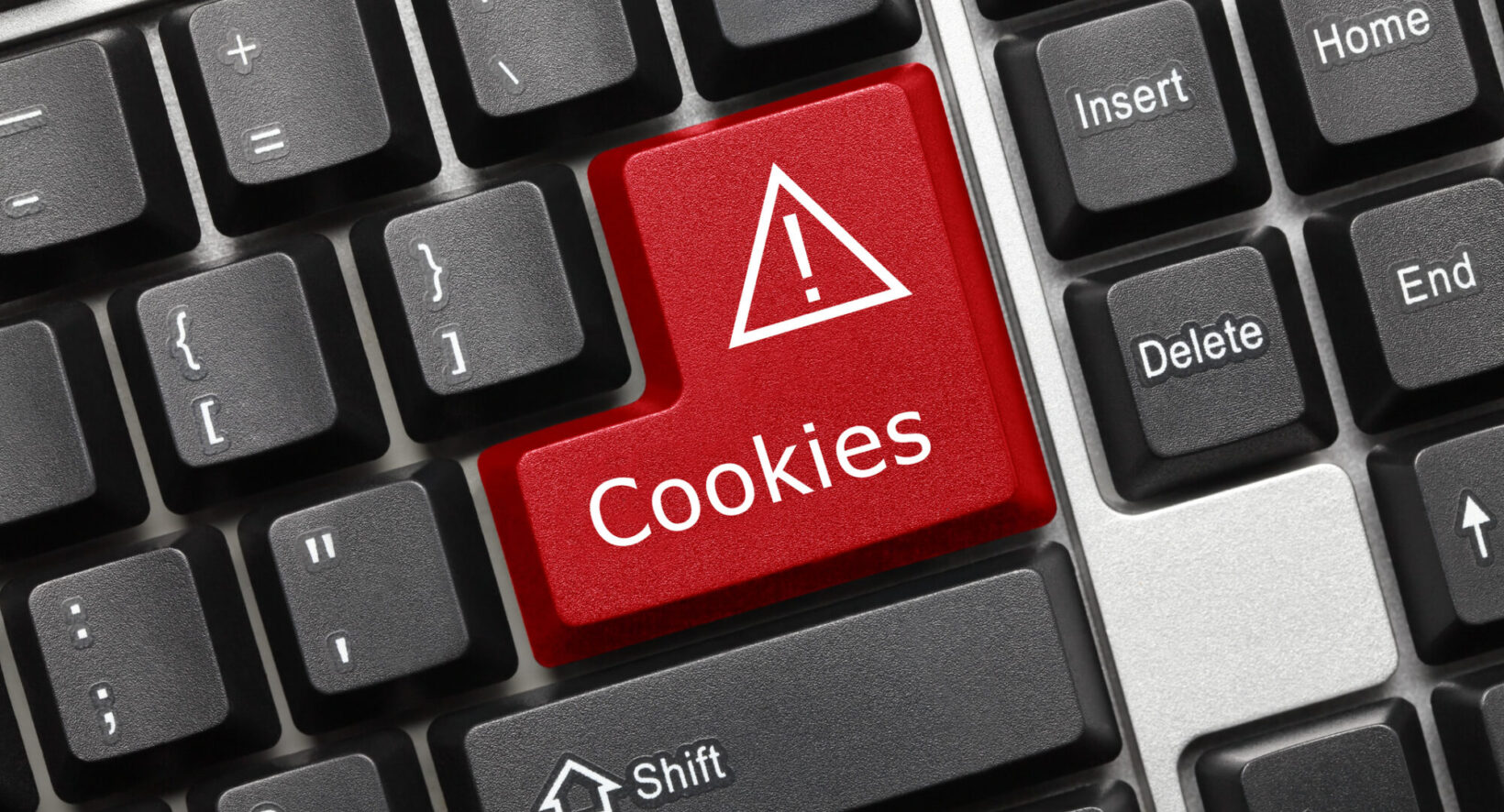 Cookieに頼らない顧客理解：ゼロパーティデータ入門と実践